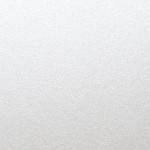 Sirio Pearl Oyster Shell texture